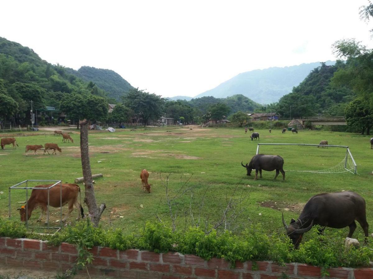 Mai Chau Xanh Bungalow Mai Châu Exterior foto